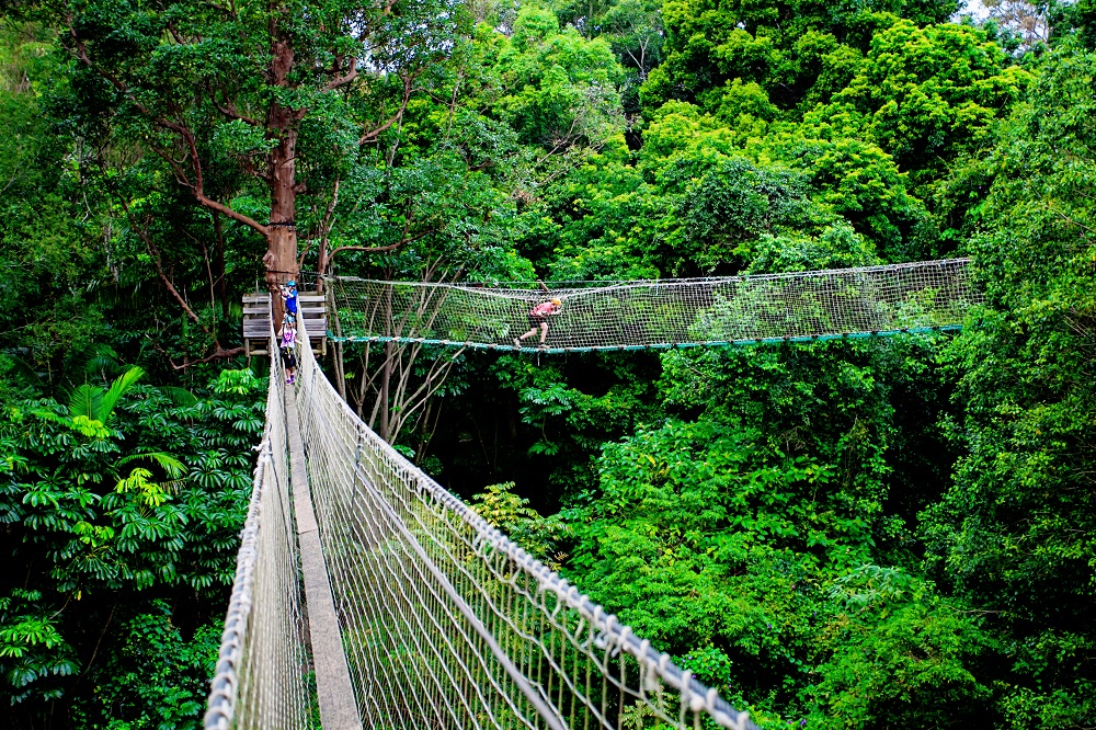 TreeTop Challenge Adventure Park